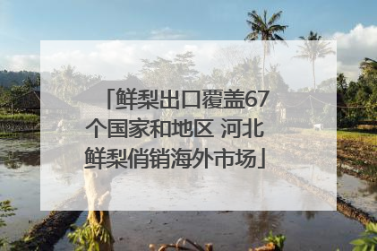 鲜梨出口覆盖67个国家和地区 河北鲜梨俏销海外市场