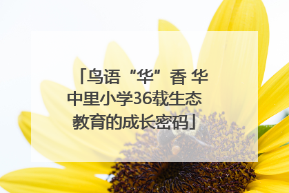 鸟语“华”香 华中里小学36载生态教育的成长密码