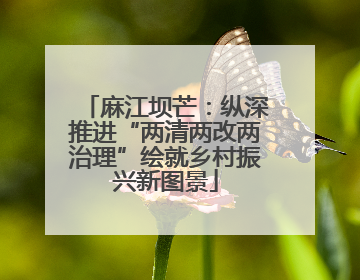 麻江坝芒：纵深推进“两清两改两治理”绘就乡村振兴新图景