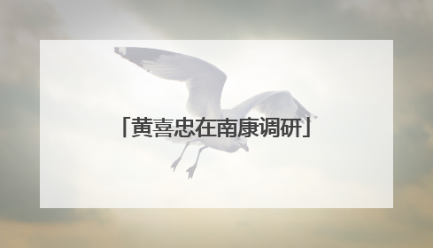 黄喜忠在南康调研