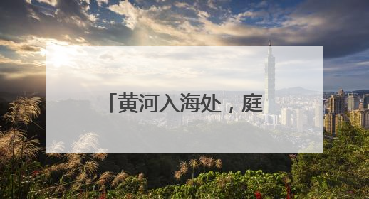 黄河入海处，庭院生金时——黄河口畔“归寻小院”的振兴密码