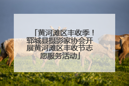 黄河滩区丰收季！郓城县摄影家协会开展黄河滩区丰收节志愿服务活动