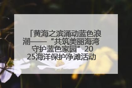 黄海之滨涌动蓝色浪潮——“共筑美丽海湾 守护蓝色家园”2025海洋保护净滩活动暨“美丽江苏—江河湖海青蓝行”海洋篇在连云港举行