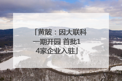 黄陂：因大联科一期开园 首批14家企业入驻