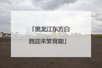 黑龙江东方白鹳迎来繁育期