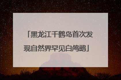 黑龙江千鹤岛首次发现自然界罕见白鸬鹚