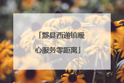 黟县西递镇暖心服务零距离