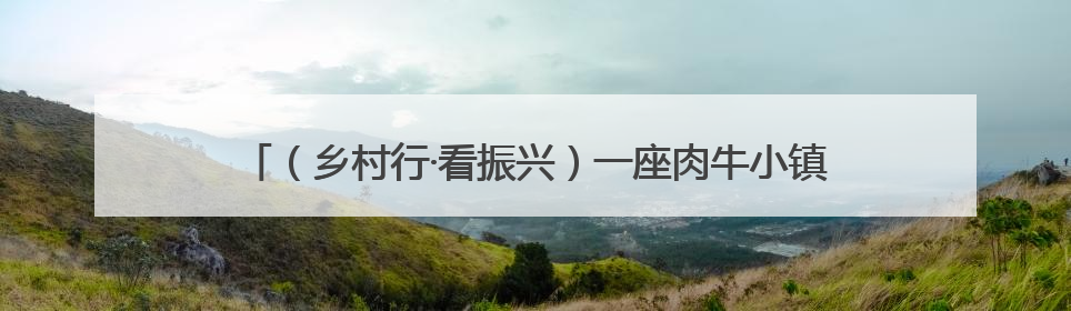 （乡村行·看振兴）一座肉牛小镇入选国家级农业产业强镇名单之后