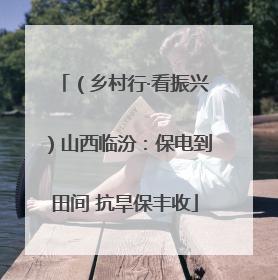 （乡村行·看振兴）山西临汾：保电到田间 抗旱保丰收