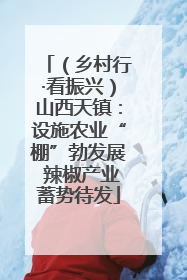 （乡村行·看振兴）山西天镇：设施农业“棚”勃发展 辣椒产业蓄势待发