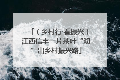 （乡村行·看振兴）江西信丰一片茶叶“沏”出乡村振兴路