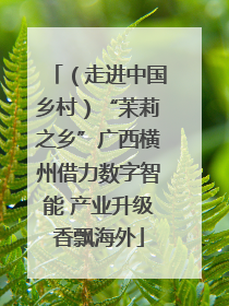 （走进中国乡村）“茉莉之乡”广西横州借力数字智能 产业升级香飘海外