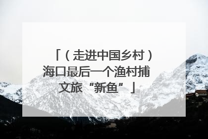（走进中国乡村）海口最后一个渔村捕文旅“新鱼”