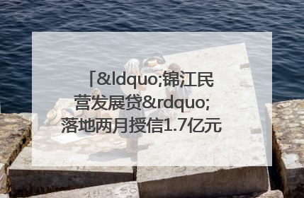 “锦江民营发展贷”落地两月授信1.7亿元，惠及118家民企