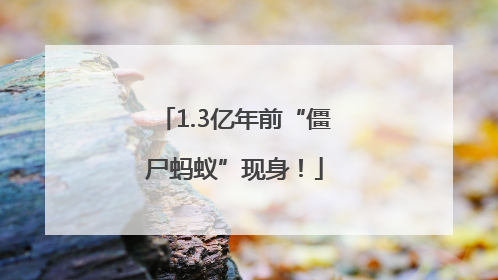1.3亿年前“僵尸蚂蚁”现身！