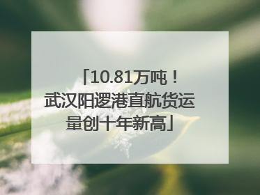 10.81万吨！武汉阳逻港直航货运量创十年新高