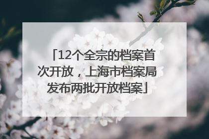 12个全宗的档案首次开放，上海市档案局发布两批开放档案