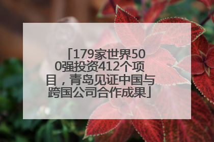 179家世界500强投资412个项目，青岛见证中国与跨国公司合作成果