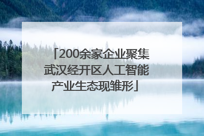 200余家企业聚集 武汉经开区人工智能产业生态现雏形