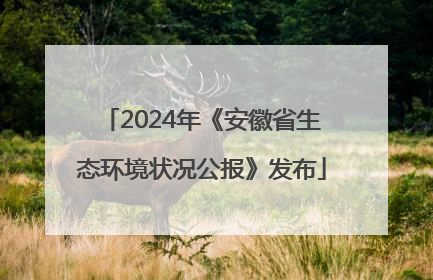 2024年《安徽省生态环境状况公报》发布