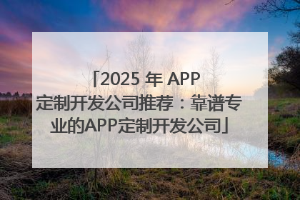 2025 年 APP 定制开发公司推荐：靠谱专业的APP定制开发公司