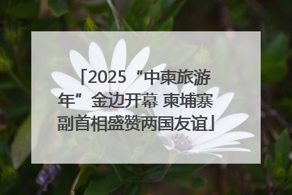 2025“中柬旅游年”金边开幕 柬埔寨副首相盛赞两国友谊