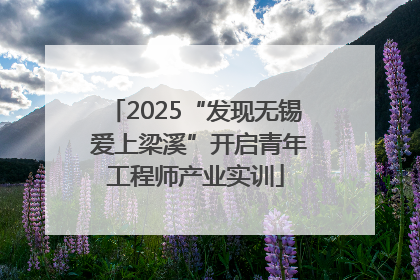 2025“发现无锡 爱上梁溪”开启青年工程师产业实训
