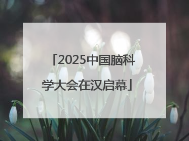 2025中国脑科学大会在汉启幕