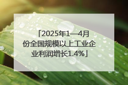 2025年1—4月份全国规模以上工业企业利润增长1.4%