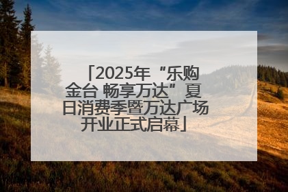 2025年“乐购金台 畅享万达”夏日消费季暨万达广场开业正式启幕