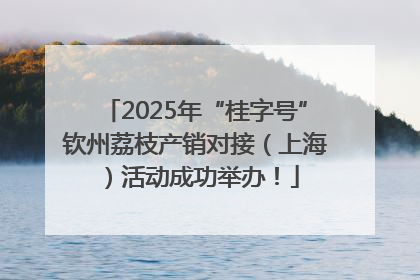 2025年“桂字号”钦州荔枝产销对接（上海）活动成功举办！