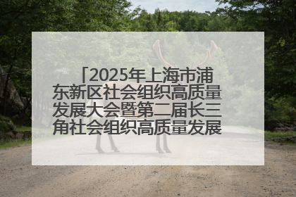2025年上海市浦东新区社会组织高质量发展大会暨第二届长三角社会组织高质量发展峰会成功举办