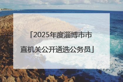 2025年度淄博市市直机关公开遴选公务员