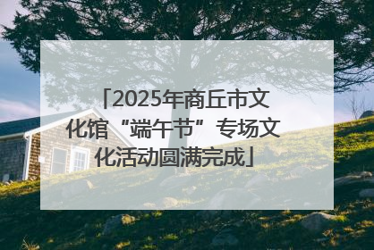 2025年商丘市文化馆“端午节”专场文化活动圆满完成