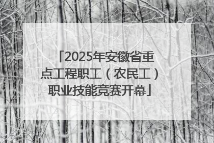 2025年安徽省重点工程职工（农民工）职业技能竞赛开幕