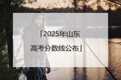 2025年山东高考分数线公布