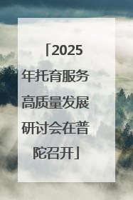 2025年托育服务高质量发展研讨会在普陀召开