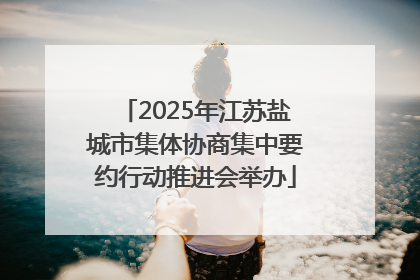 2025年江苏盐城市集体协商集中要约行动推进会举办