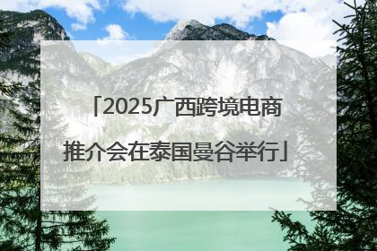 2025广西跨境电商推介会在泰国曼谷举行