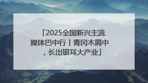 2025全国新兴主流媒体巴中行丨青冈木屑中，长出银耳大产业