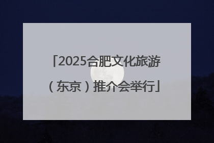 2025合肥文化旅游（东京）推介会举行