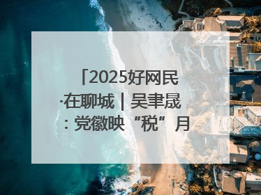 2025好网民·在聊城｜吴聿晟：党徽映“税”月 网播传政声