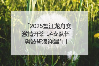 2025望江龙舟赛激情开桨 14支队伍劈波斩浪迎端午
