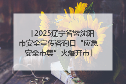 2025辽宁省暨沈阳市安全宣传咨询日“应急安全市集”火爆开市