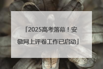 2025高考落幕！安徽网上评卷工作已启动