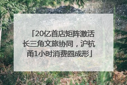 20亿首店矩阵激活长三角文旅协同，沪杭甬1小时消费圈成形