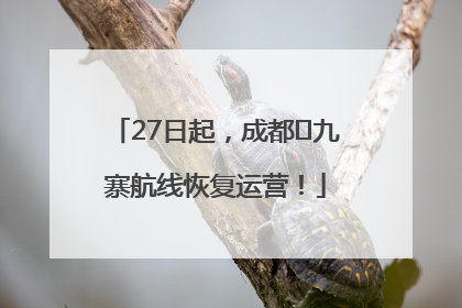 27日起，成都⇋九寨航线恢复运营！