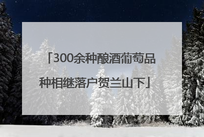 300余种酿酒葡萄品种相继落户贺兰山下