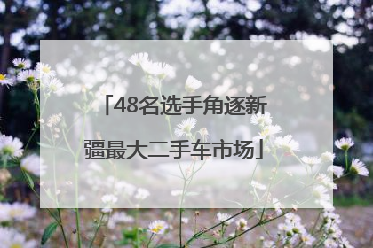 48名选手角逐新疆最大二手车市场