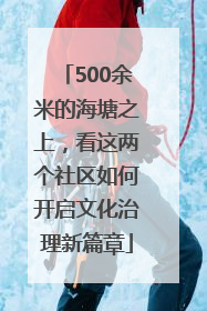 500余米的海塘之上，看这两个社区如何开启文化治理新篇章